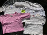 Paket 4 Baby Langarm Shirts Gr. 62 München - Maxvorstadt Vorschau