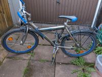 Fahrrad/ Mountainbike von Rixe 26 zoll Hessen - Langenselbold Vorschau