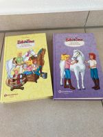 Bibi und Tina Bücher Kr. Altötting - Haiming Vorschau