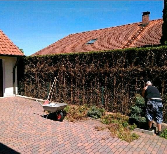 Gartenpflege  ,Gartenarbeiten in Ingolstadt