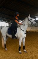 suche reitbeteiligung (reiter sucht) Nordrhein-Westfalen - Arnsberg Vorschau