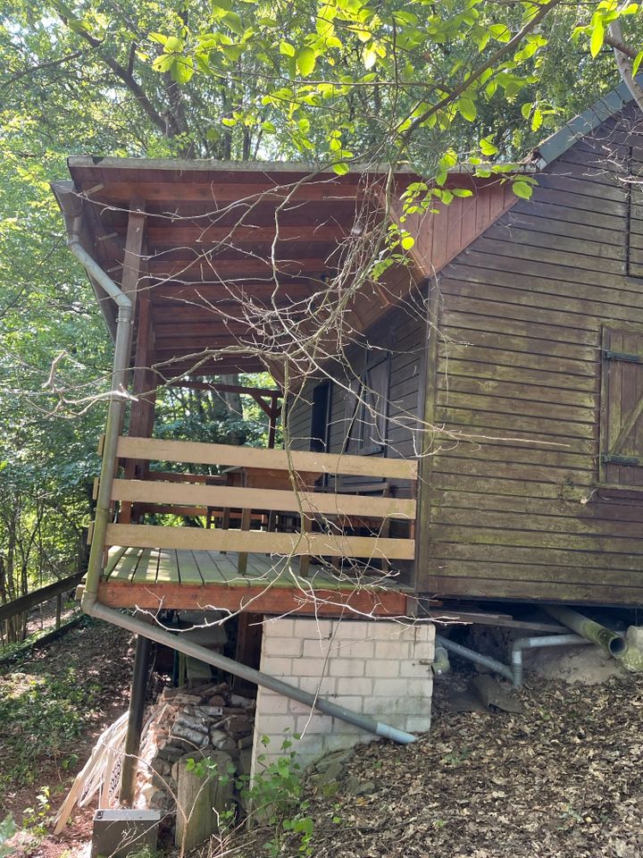 Freizeitgrundstück mit solider unterkellerter Holzhütte abzugeben in Antrifttal