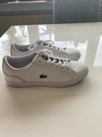 Lacoste Sneaker Damen Gr 38 weiß Baden-Württemberg - Meckenbeuren Vorschau