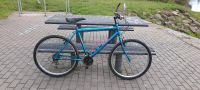 Retro Vintage Mountainbike 26 Zoll 21 Shimanoschaltung Saarland - Wadgassen Vorschau