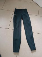 Reitleggins Lingen (Ems) - Darme Vorschau