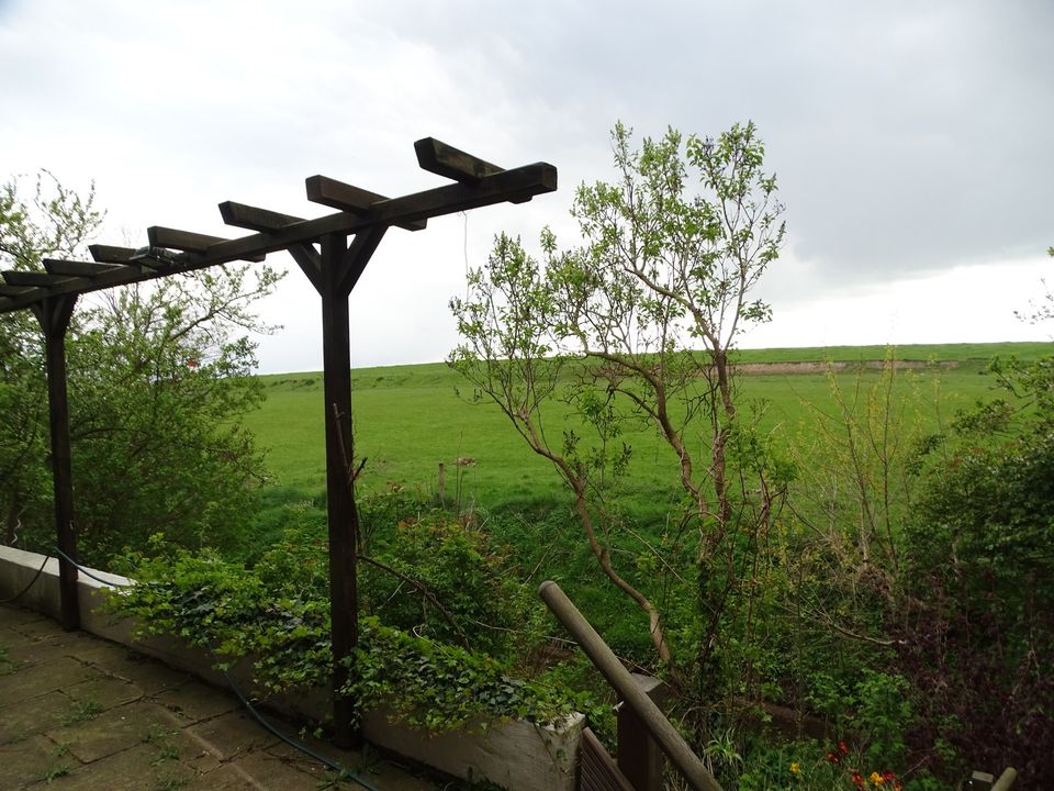 Reetdachhaus mit Blick auf die Elbe und Deichzugang in Glückstadt