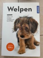 Welpen Buch Frankfurt am Main - Preungesheim Vorschau