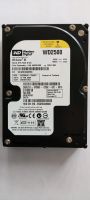 Festplatte Western Digital 250GB Brandenburg - Nuthe-Urstromtal Vorschau