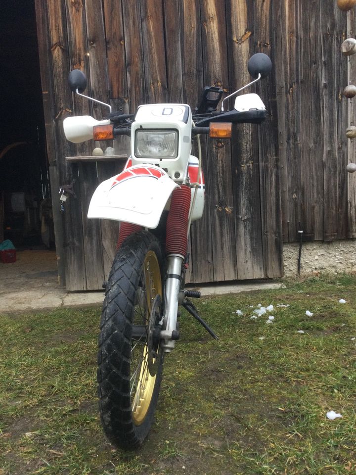 Yamaha 600 Tenere in Zeitlarn