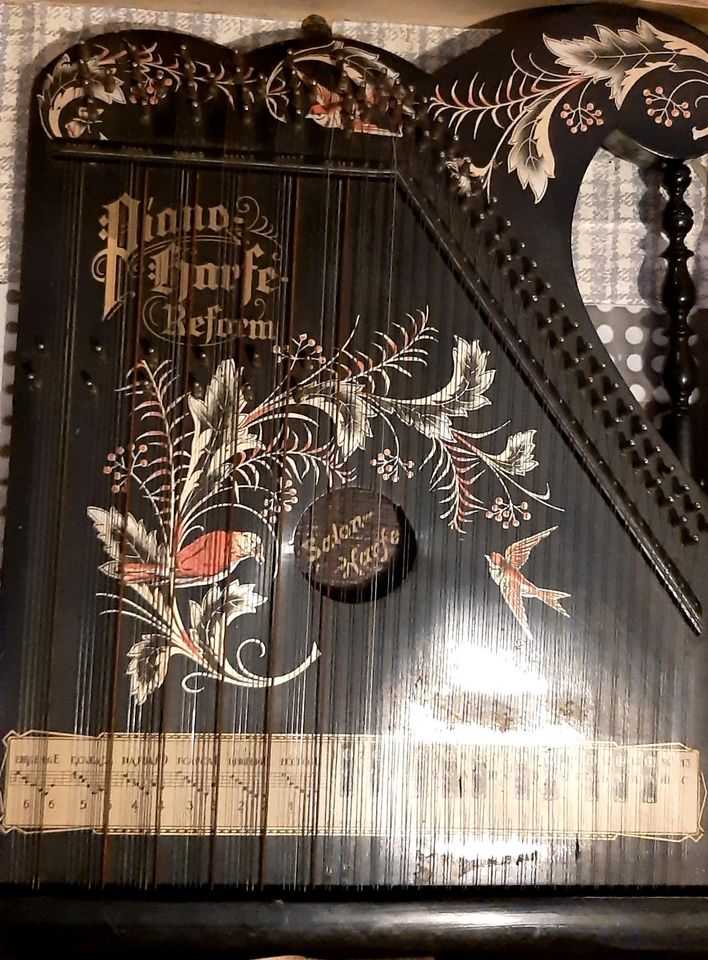 Piano-Harfe Reform Salon-Harfe Zither in Obernburg