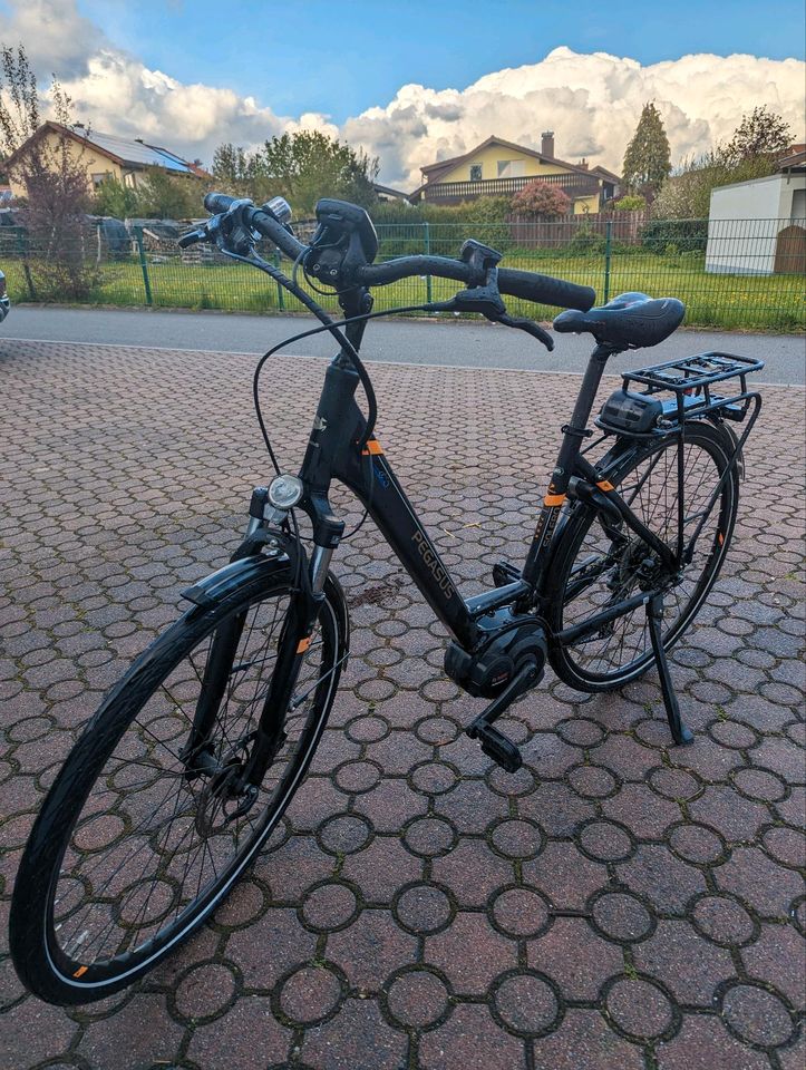 E-Bike Pegasus in Buchen (Odenwald)