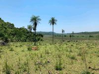 Schönes Grundstück in Paraguay Piribebuy 11,3ha Baden-Württemberg - Brigachtal Vorschau