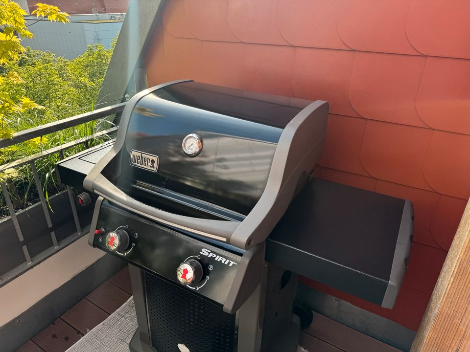 Weber Grill Spirit E-220 Classic mit Zubehör in Berlin