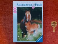 Ravensburger Puzzle 1000 Teile "Pferdefreiheit" Rarität Baden-Württemberg - Freiburg im Breisgau Vorschau