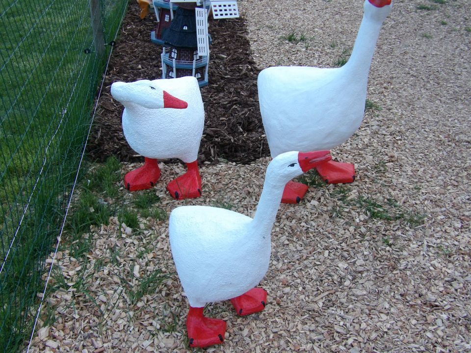 Muttertagsgeschenk, Garten Deko  Sylter Gänse XXL 98cm  Gartenfiguren Figuren Teichdeko, ich in Rhauderfehn