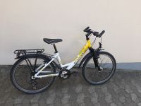 24er sehr gut erhaltenes, neuwertiges Fahrrad Bayern - Pfaffenhofen a.d. Ilm Vorschau