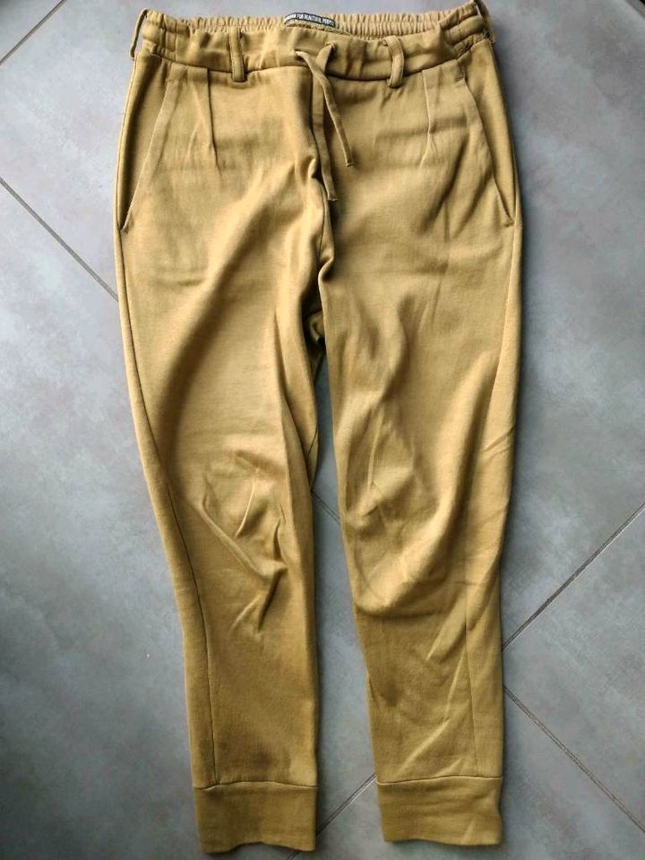 Jogginghose 34 XS Drykorn Damen Hose grün in Petersberg