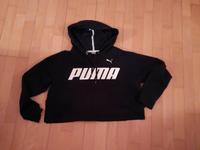 Puma Hoodie Niedersachsen - Bakum Vorschau