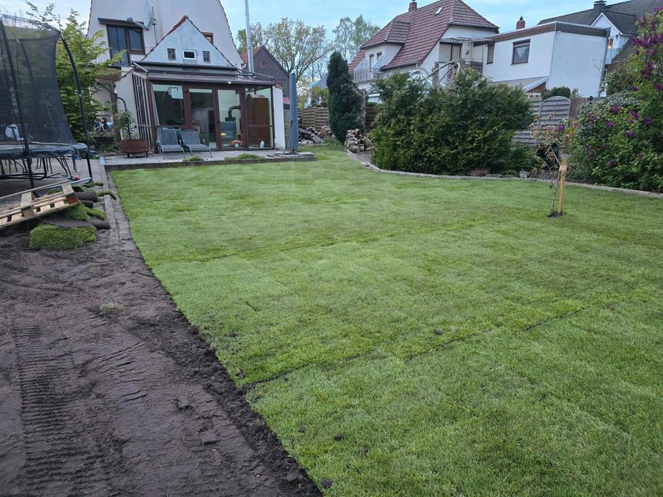 Garten arbeiten aller Art Fräsen Rollrasen planierenNeusaat Rasen in Stuhr