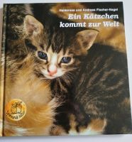 Ein Kätzchen kommt zur Welt Hessen - Niedenstein Vorschau