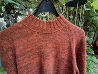 DW Shop Made in Germany 100% ALPAKA 38 40 Strick Pullover Rheinland-Pfalz - Remagen Vorschau