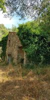 Haus Ruine TOSKANA Italien -> Auswandern Bauland Baugrundstück Niedersachsen - Dannenberg (Elbe) Vorschau