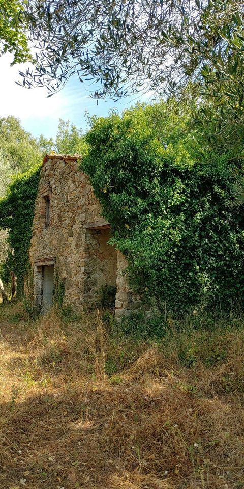 Haus Ruine TOSKANA Italien -> Auswandern Bauland Baugrundstück in Dannenberg (Elbe)