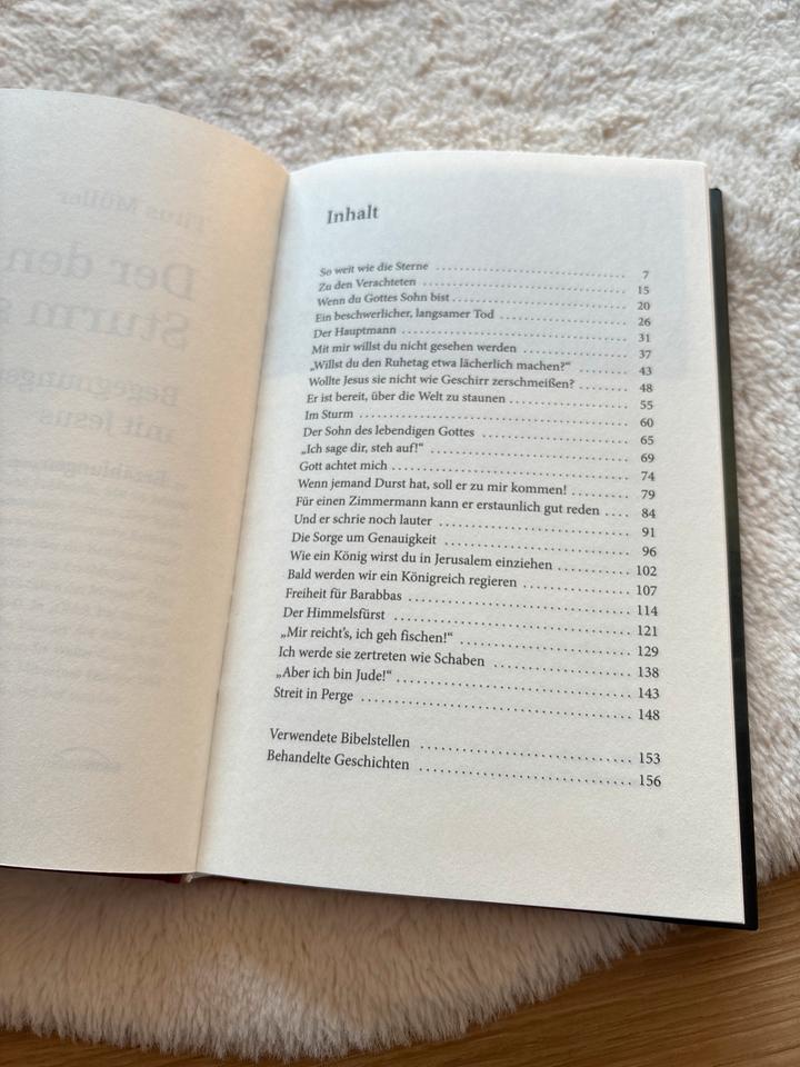 Titus Müller Der den Sturm stillt christliches Buch Jesus in Bad Bergzabern