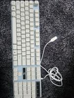 Gaming Tastatur led mit kabel Rheinland-Pfalz - Ludwigshafen Vorschau