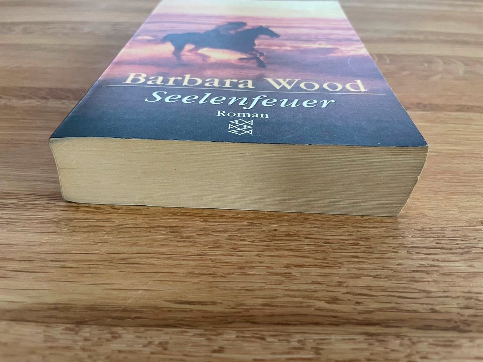 Barbara Wood - Seelenfeuer - Taschenbuch in Stuhr