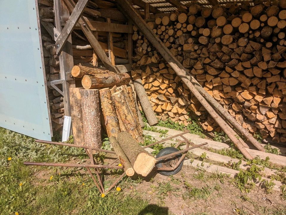 Schubkarre/Brennholz/Deko/Pflanzkübelträger in Triebel