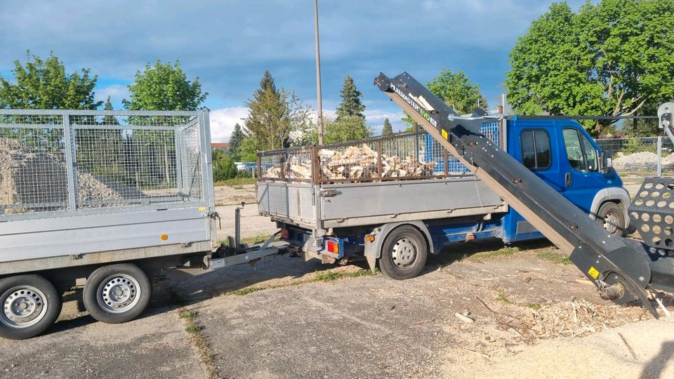 Feuerholz Kaminholz 12SRM 25cm Kiefer in Görlitz