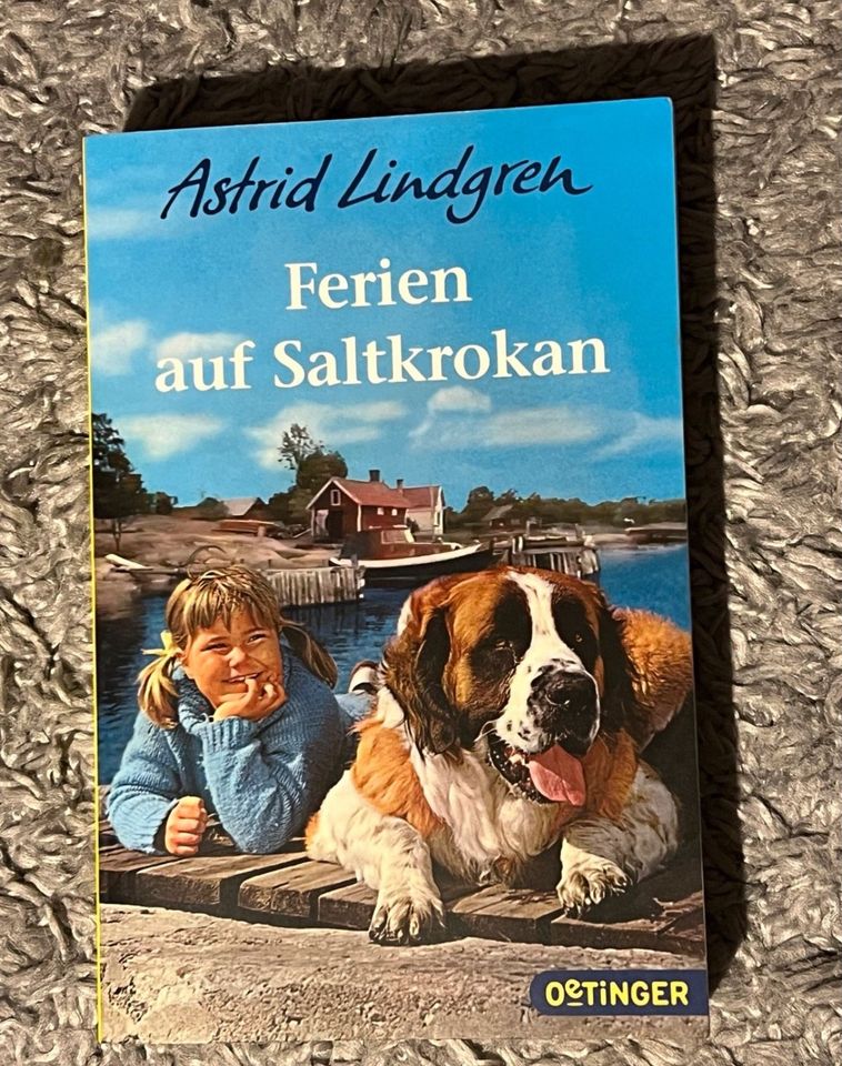 Buch - Ferien auf Saltkrokan in Lindau