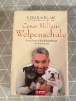 César Millans Welpenschule Rheinland-Pfalz - Simmern Vorschau