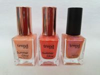 Trend IT UP Summer Glow Nagellack Set Dithmarschen - St. Michaelisdonn Vorschau