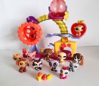 LITTLEST PET SHOP Sammlung Hamster Spielplatz + 10 Tiere LPS Hamburg-Mitte - Hamburg Rothenburgsort Vorschau