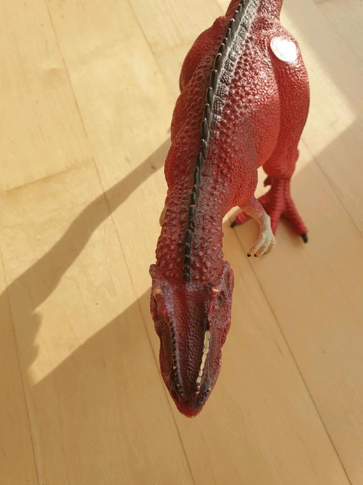 Dinosaurer Sammlung riesig: Schleich, Tiptoi, Playmobil + Vulkan in Waltenhofen