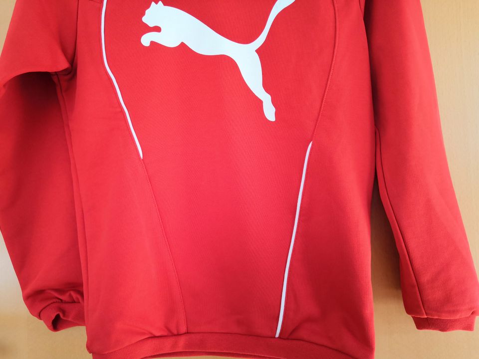 Puma Foundation Swearshirt sports,Gr. 140, in rot ,ungetragen in Bad Schönborn