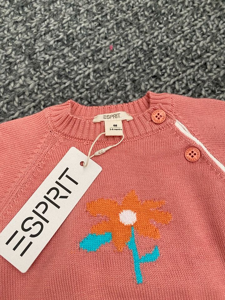 ❤️ ESPRIT Strickpullover Blume apricot 68 NEU ❤️ in Hagen