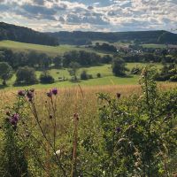 Ferienwohnung Thüringen - Großbartloff Vorschau