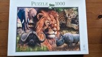 1000 Teile Puzzle: Tiere Kiel - Kiel - Exerzierplatz Vorschau