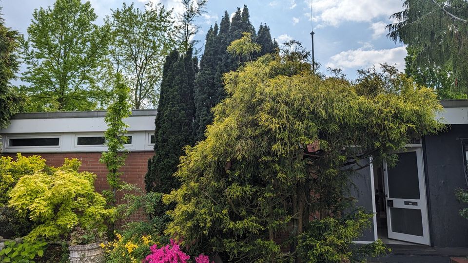 Von Privat:  Bungalow für Familie und Alter mit Gartenparadies in Düsseldorf