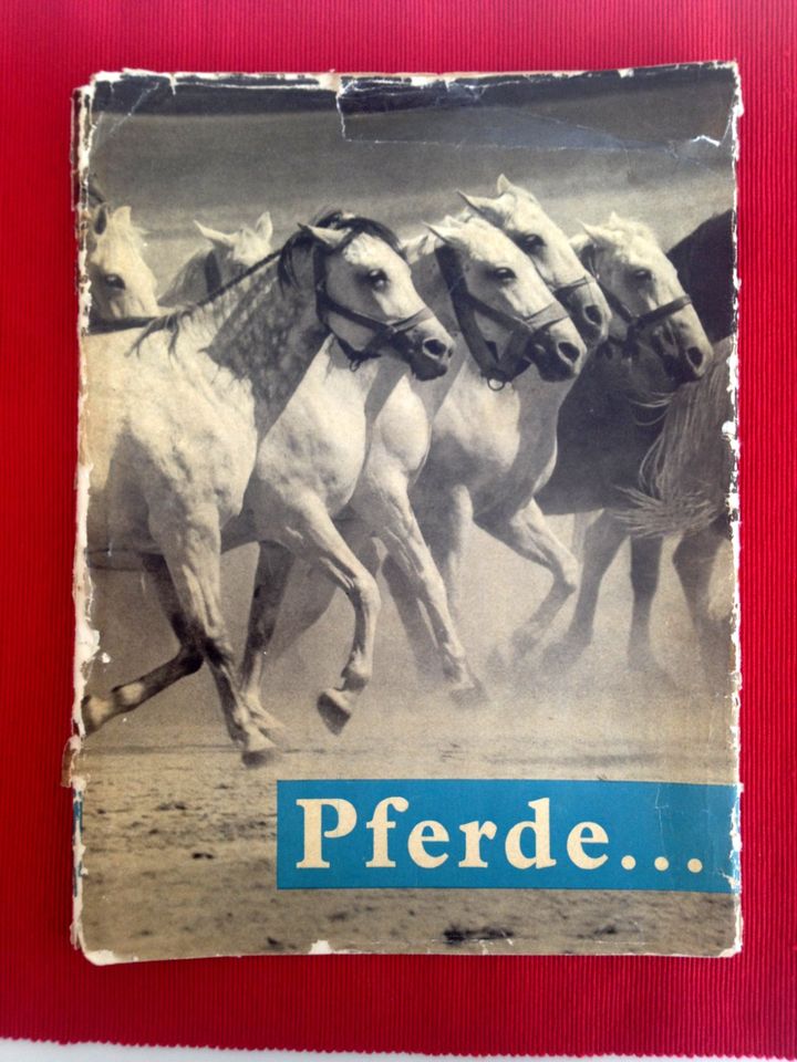 ALT! Buch über PFERDE v. 1958, schwarz-weiß Zucht Rasse in Halberstadt