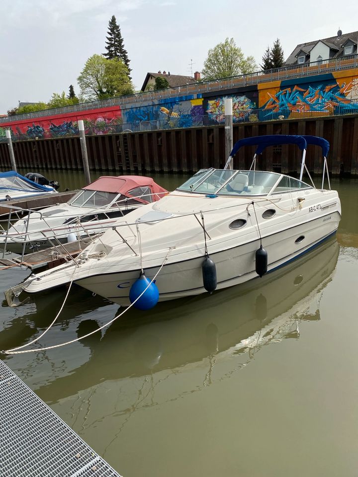 Motoryacht Regal 258 Commodore, V8, 5,7l, 260 PS MerCruiser in Neuberg