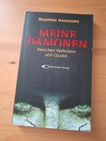 Meine Dämonen Buch Schizophrenie Drogen Punkrock Rostock - Gross Klein Vorschau