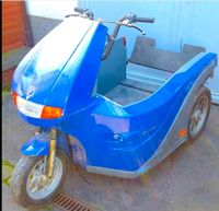 Pendel Huka Freewiel Hoening Rollstuhl Scooter Trike Invaliden Nordrhein-Westfalen - Langenfeld Vorschau