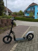 Bikestar Roller mit Luftreifen Baden-Württemberg - Berglen Vorschau