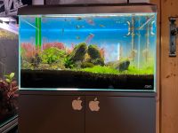 Aquarium ADA 60P Weißglas komplett Bayern - Seeg Vorschau