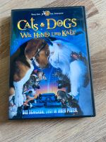 DVD Film Cat’s & Dogs Duisburg - Duisburg-Mitte Vorschau