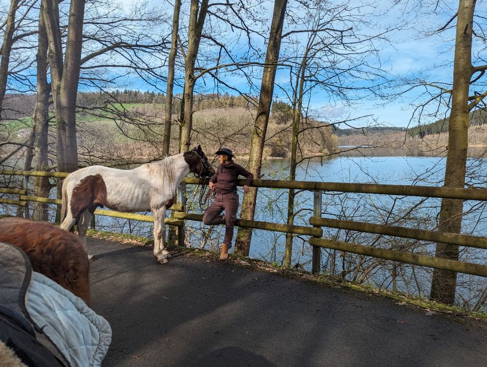 Pferde Wanderung am 24.04. in Hildesheim